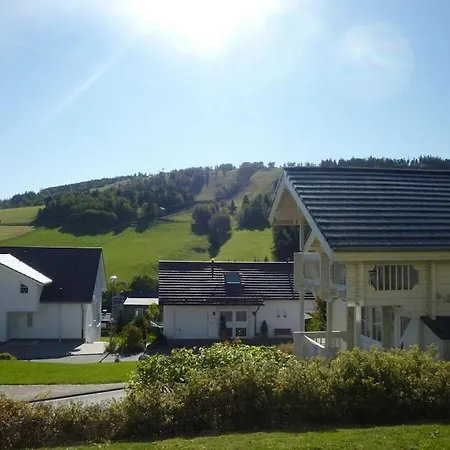 In With Terrace * Willingen (Upland)